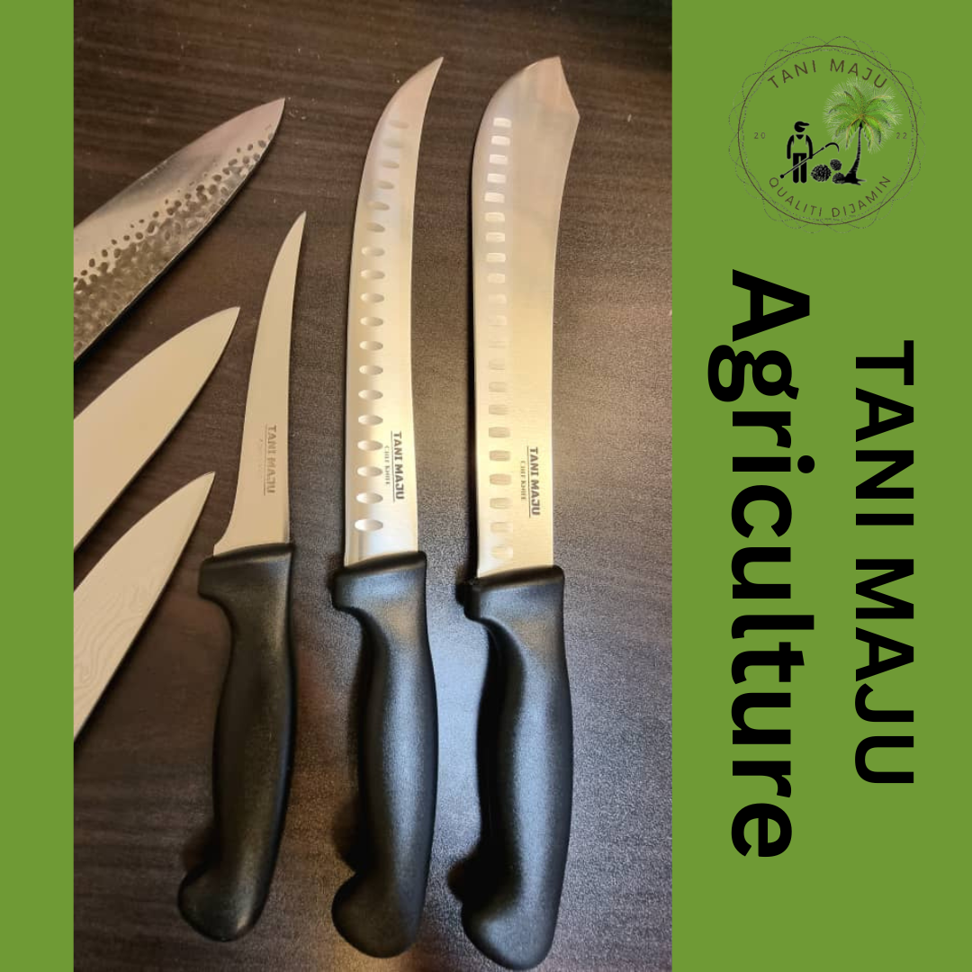 ( Model 372-374 ) Pisau Butcher / Curver Boning Knife