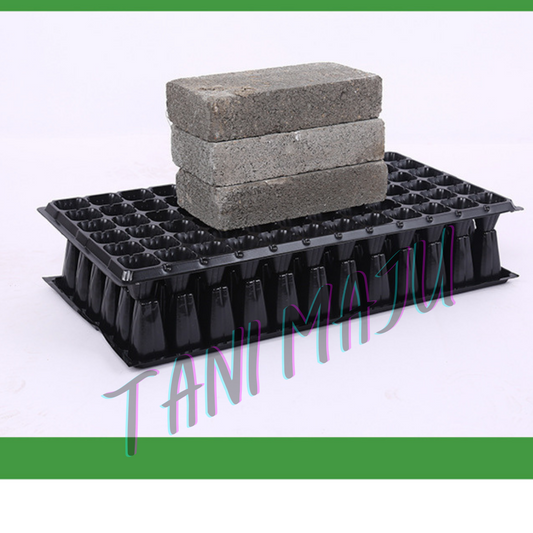 Holes Seedling Tray Plastic Nursery Tray / 50 HOLES / 105HOLES / Bekas Benih Plastic Tray Benih Semaian / 育苗盘 育苗 / (Model 173)