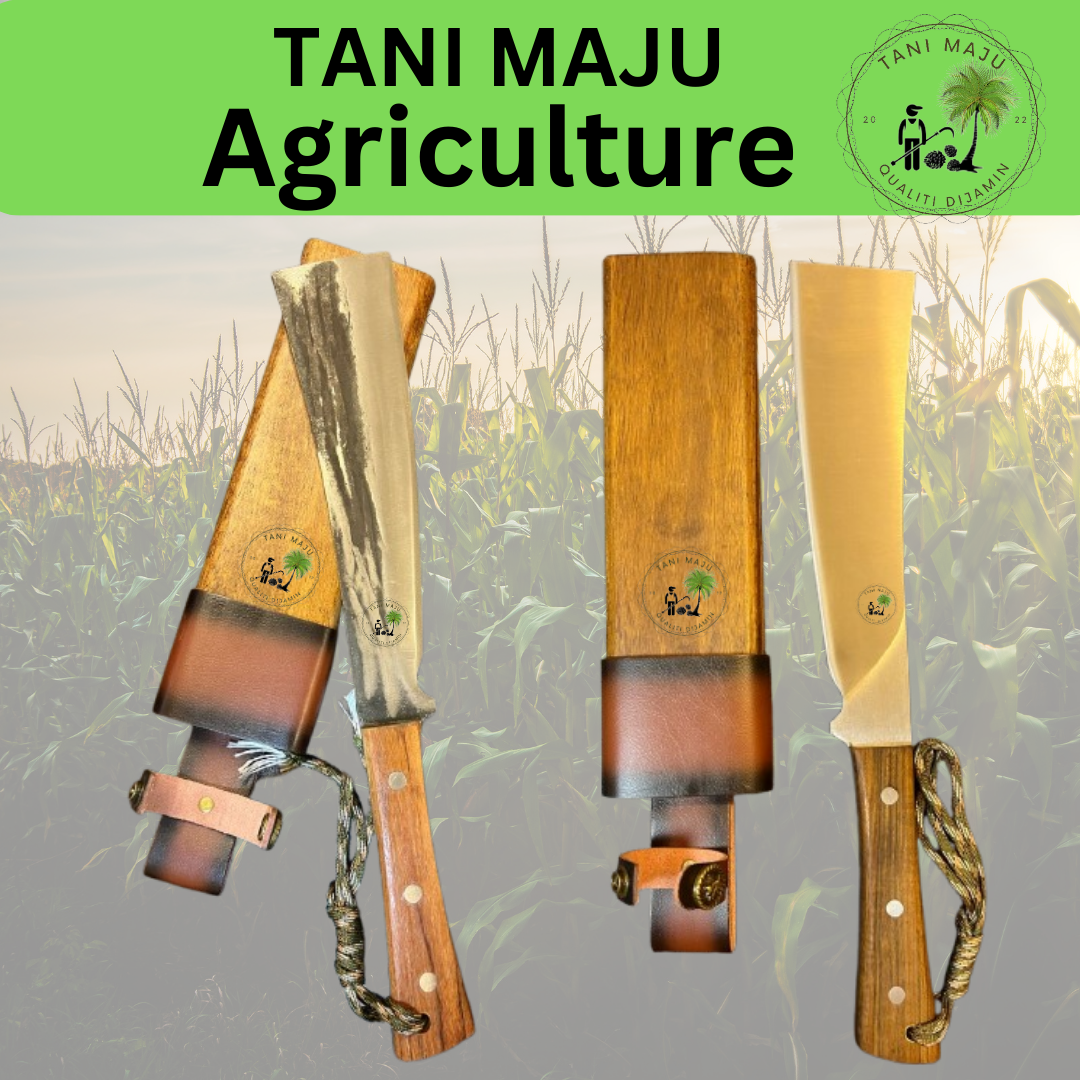 MODEL 370-371 / Pisau Tebas Tebal Keluli Spring Forged | Ketahanan Tinggi | Sarung Kayu Asli | Alat Pertanian & Aktiviti Luar
