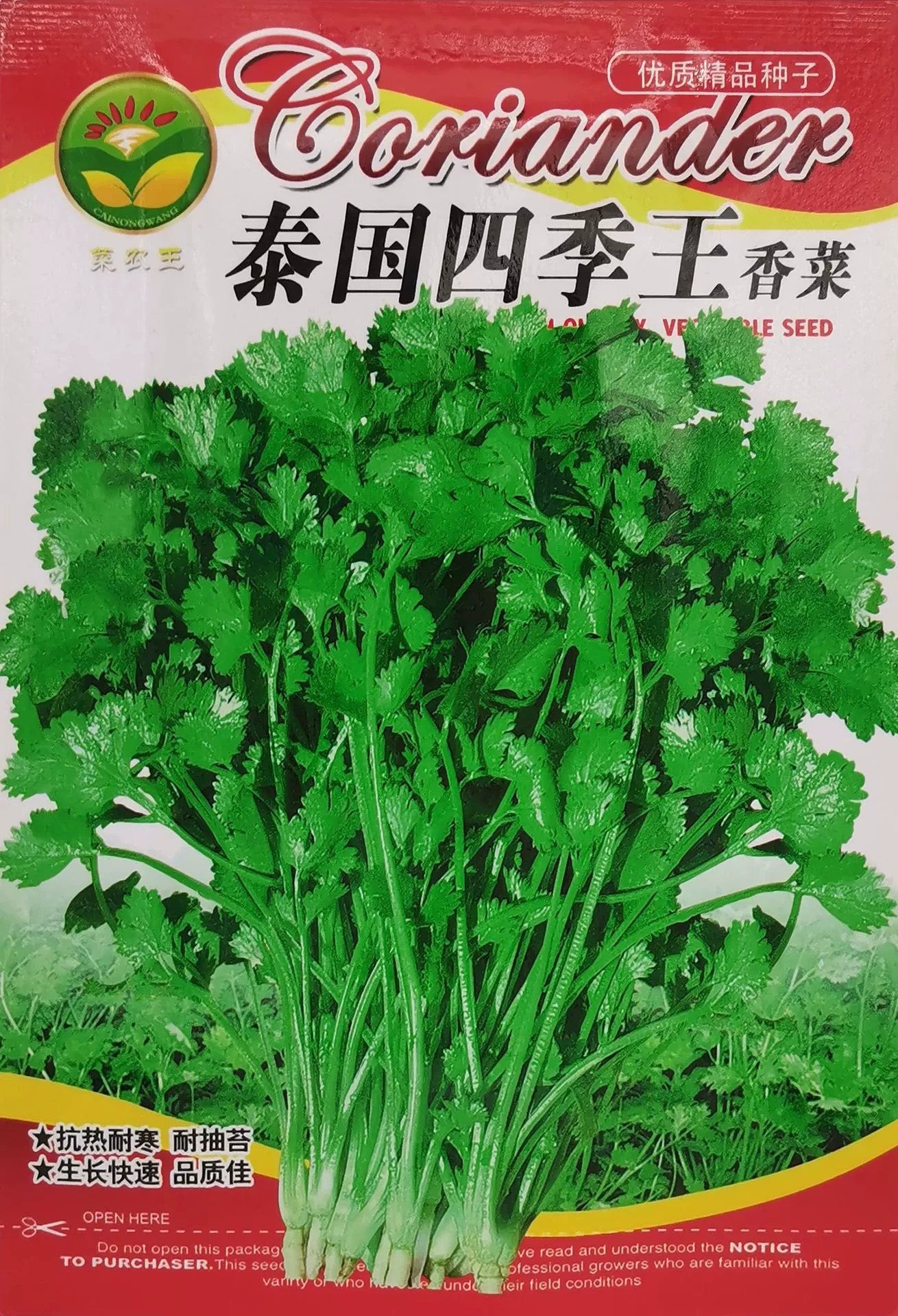Daun Sup/香菜 (model 176.22F)