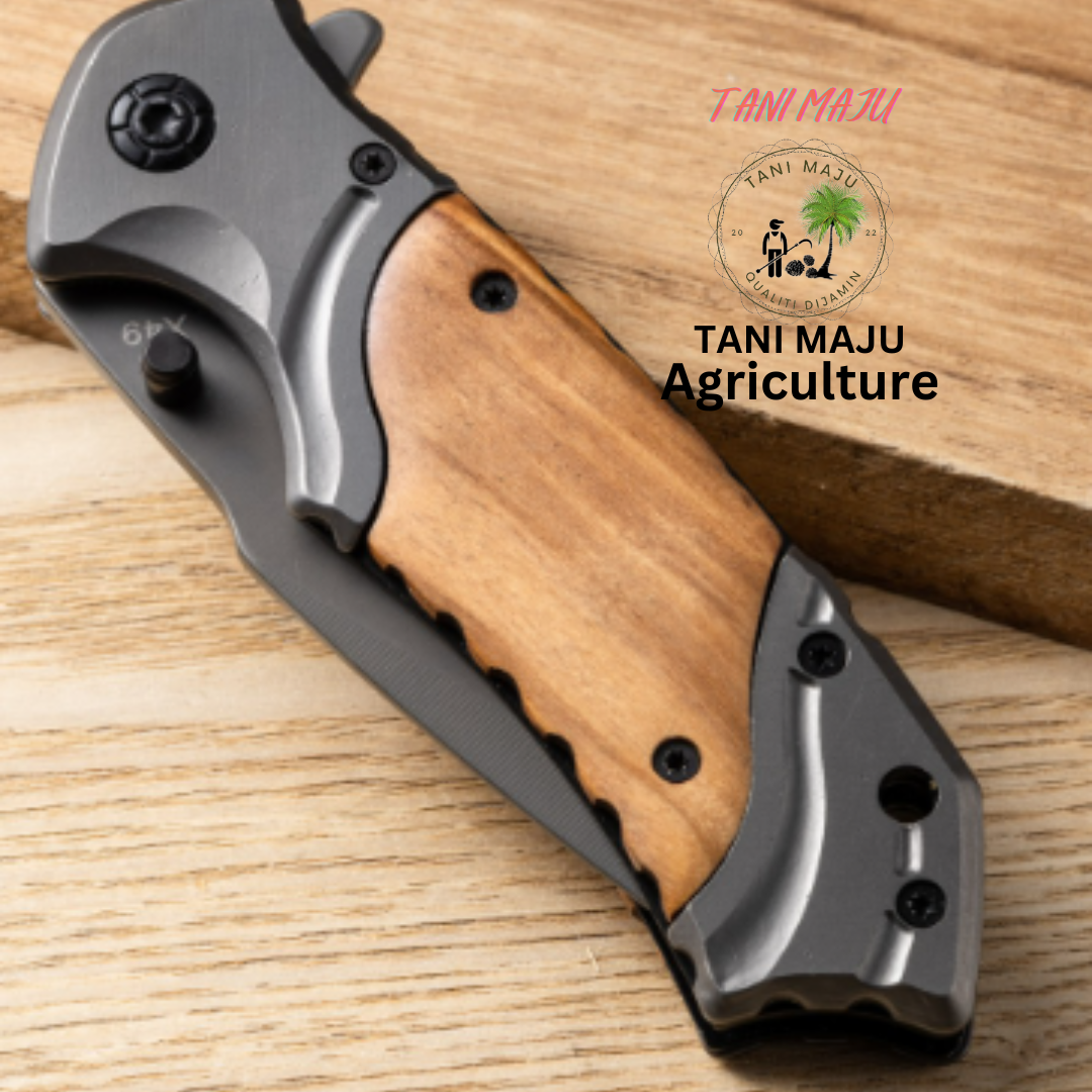 Model 292 / Pisau Lipat Pendek Serbaguna | Outdoor + Rumah + Buah | 8cm Bilah Keluli