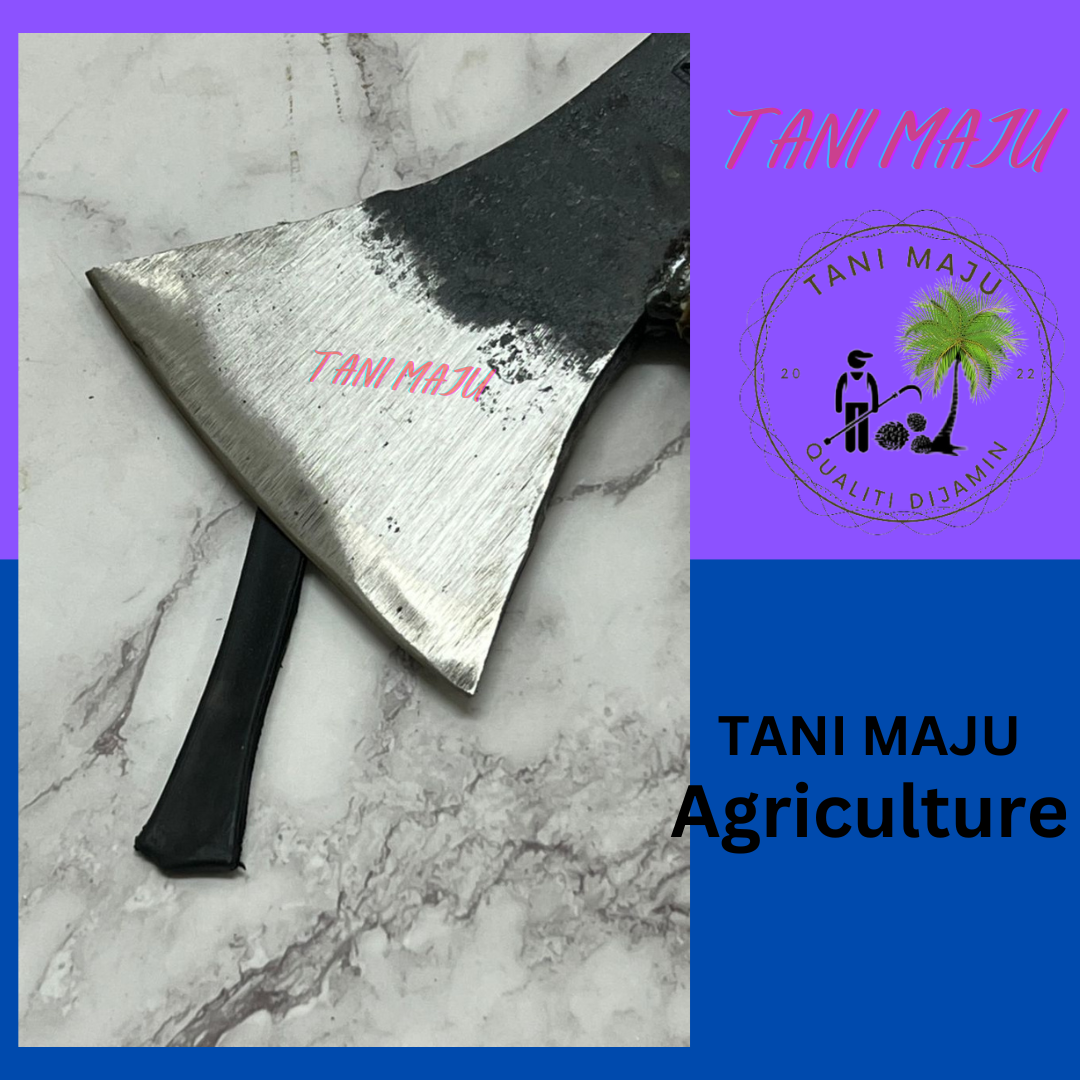 Kapak / Axe / agriculture (600GM) (180.27)