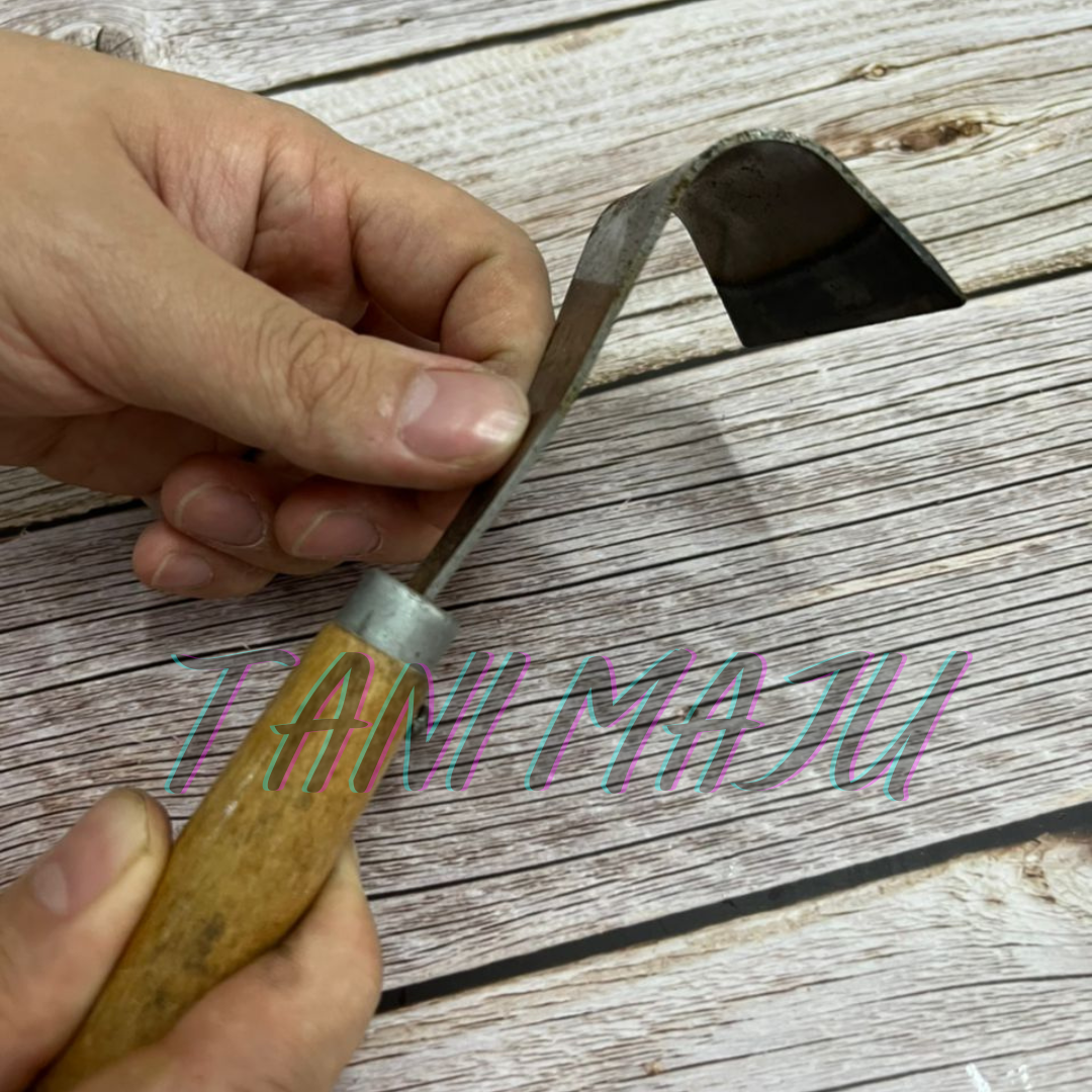Pisau Kulit Pokok Hulu Kayu / Pisau Goleh Pokok (Model 038.5)