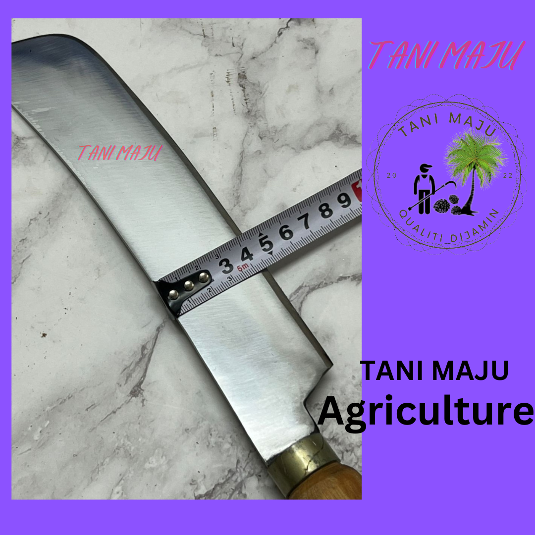 Pisau Dapur / Parang Tulang (ALL IN 1) (125.9)