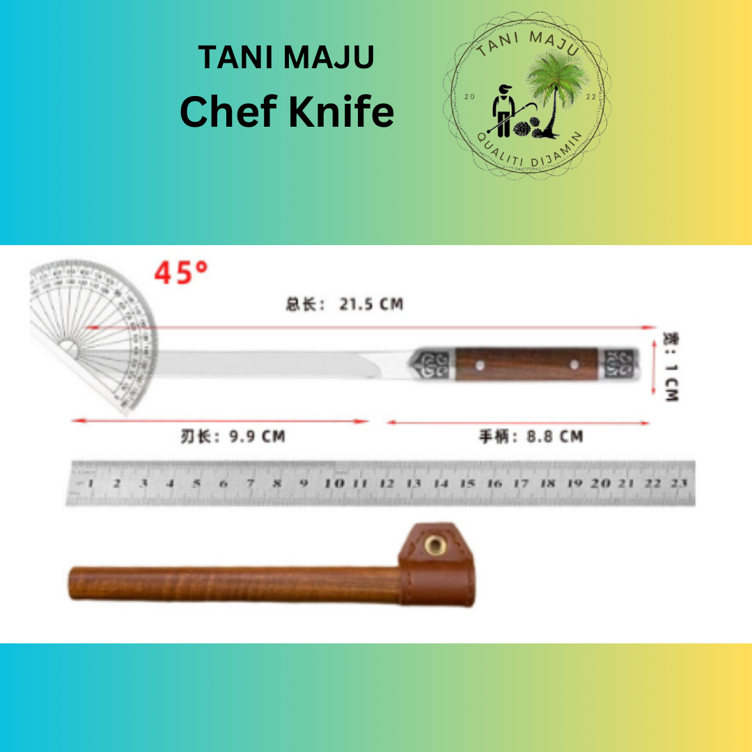 Model 308 Pisau Buah & Pisau Outdoor Berkualiti Tinggi | Rekabentuk Ringan dan Tajam