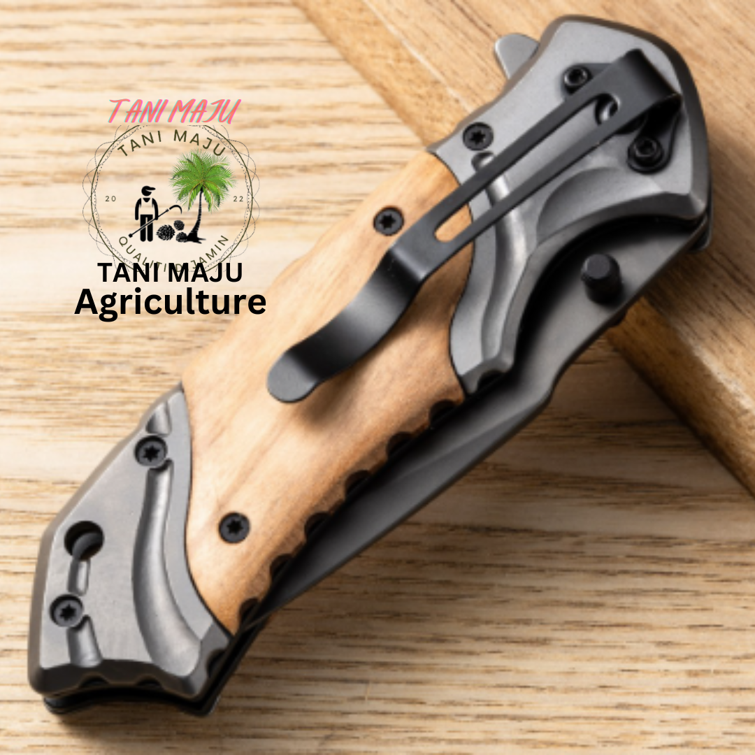 Model 292 / Pisau Lipat Pendek Serbaguna | Outdoor + Rumah + Buah | 8cm Bilah Keluli