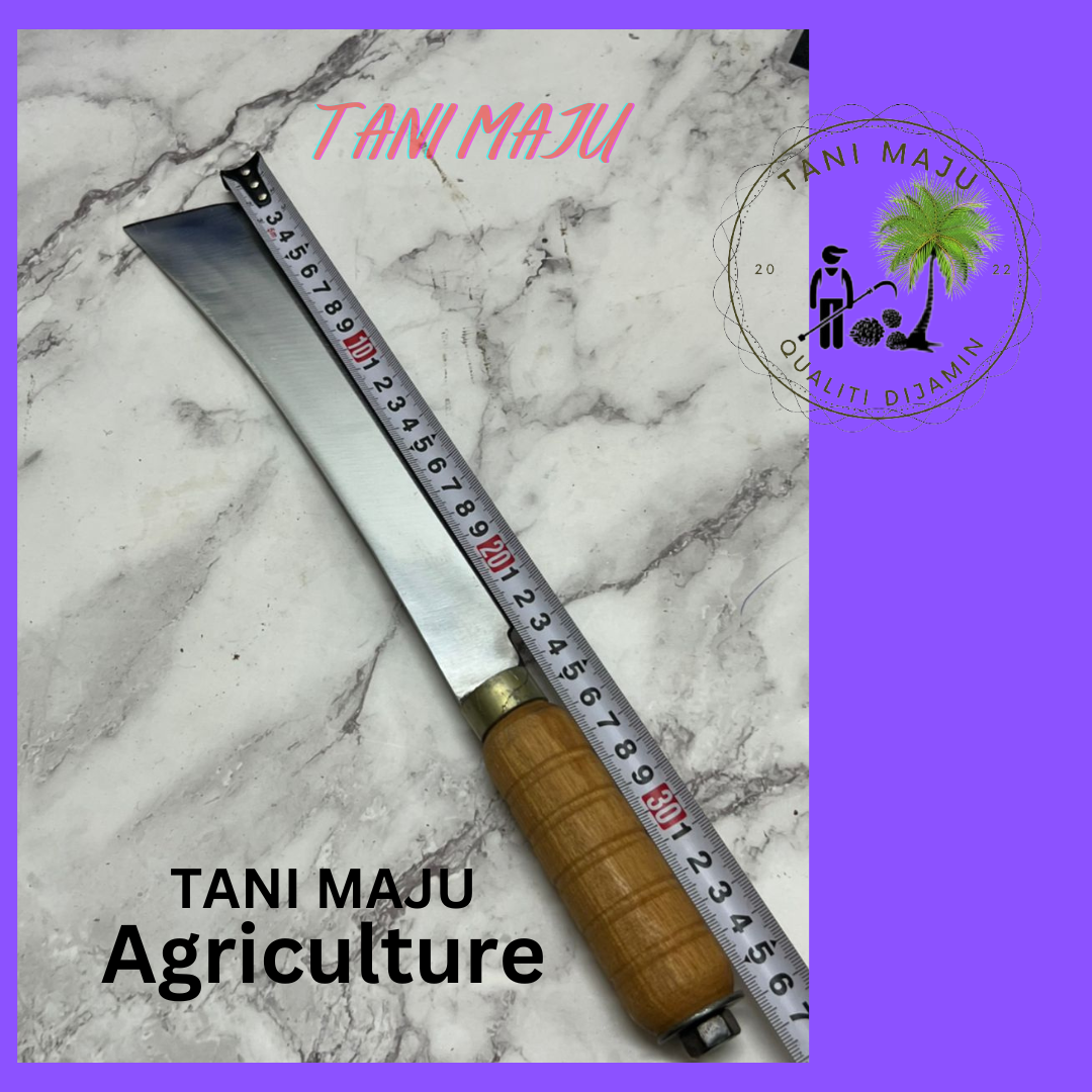 Pisau Dapur / Parang Tulang (ALL IN 1) (125.9)