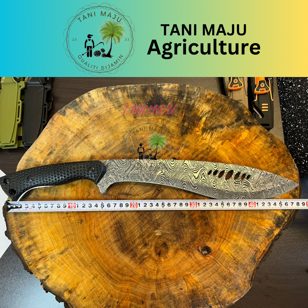 Model 303-305 Pisau Ladang Baja Karbon (Termasuk Sarung) โ 3 Pilihan Bilah