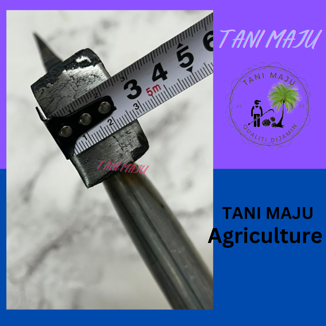 Kapak / Axe / agriculture (600GM) (180.27)