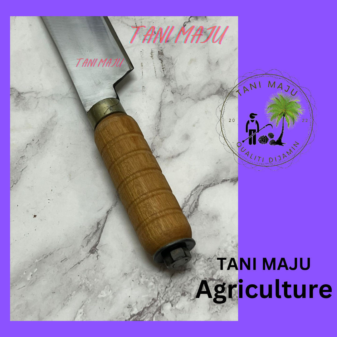 Pisau Dapur / Parang Tulang (ALL IN 1) (125.9)