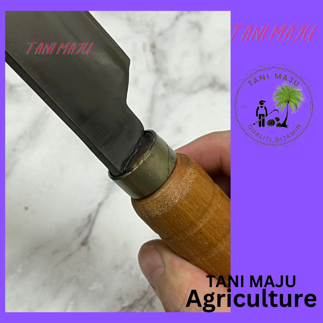 Pisau Dapur / Parang Tulang (ALL IN 1) (125.9)