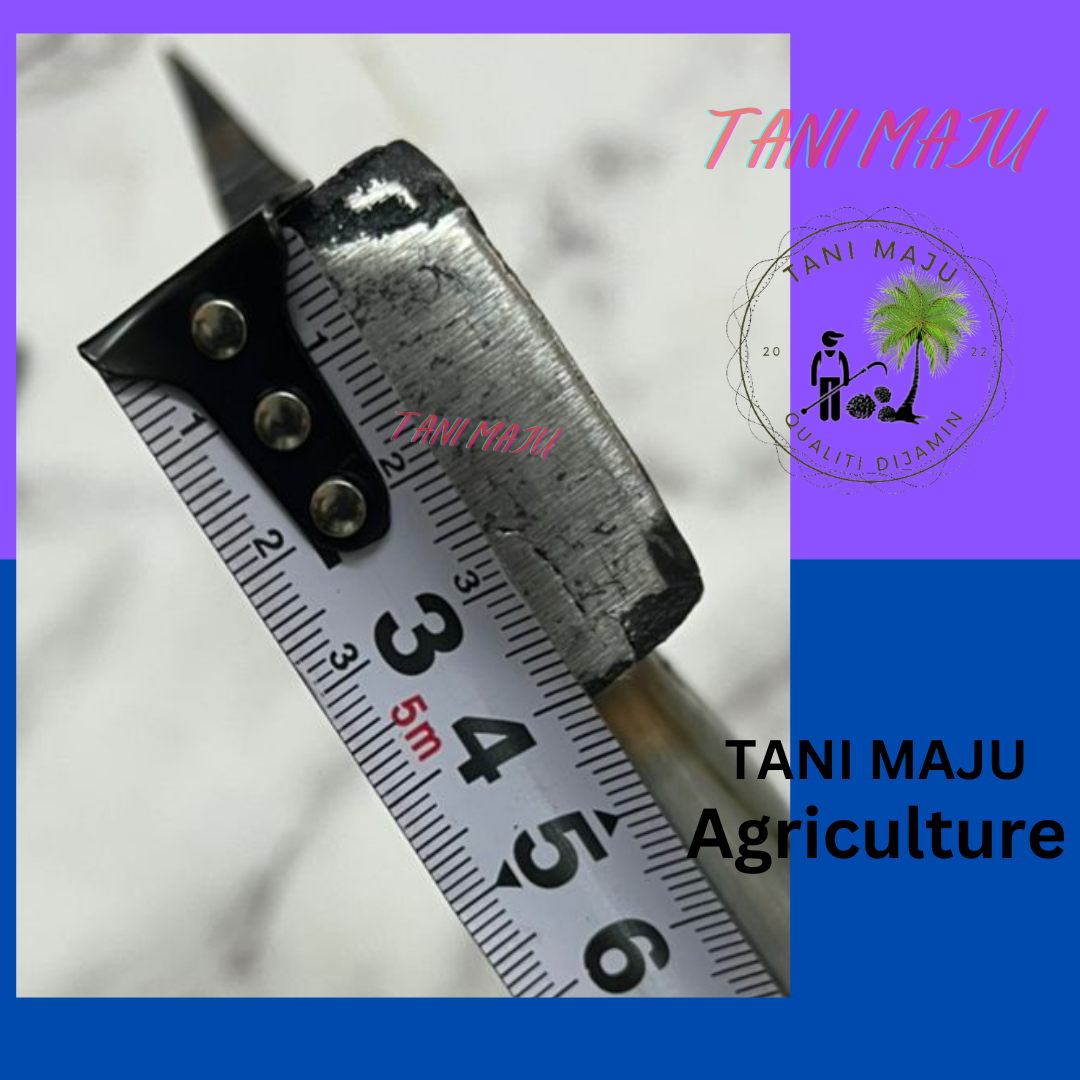 Kapak / Axe / agriculture (600GM) (180.27)