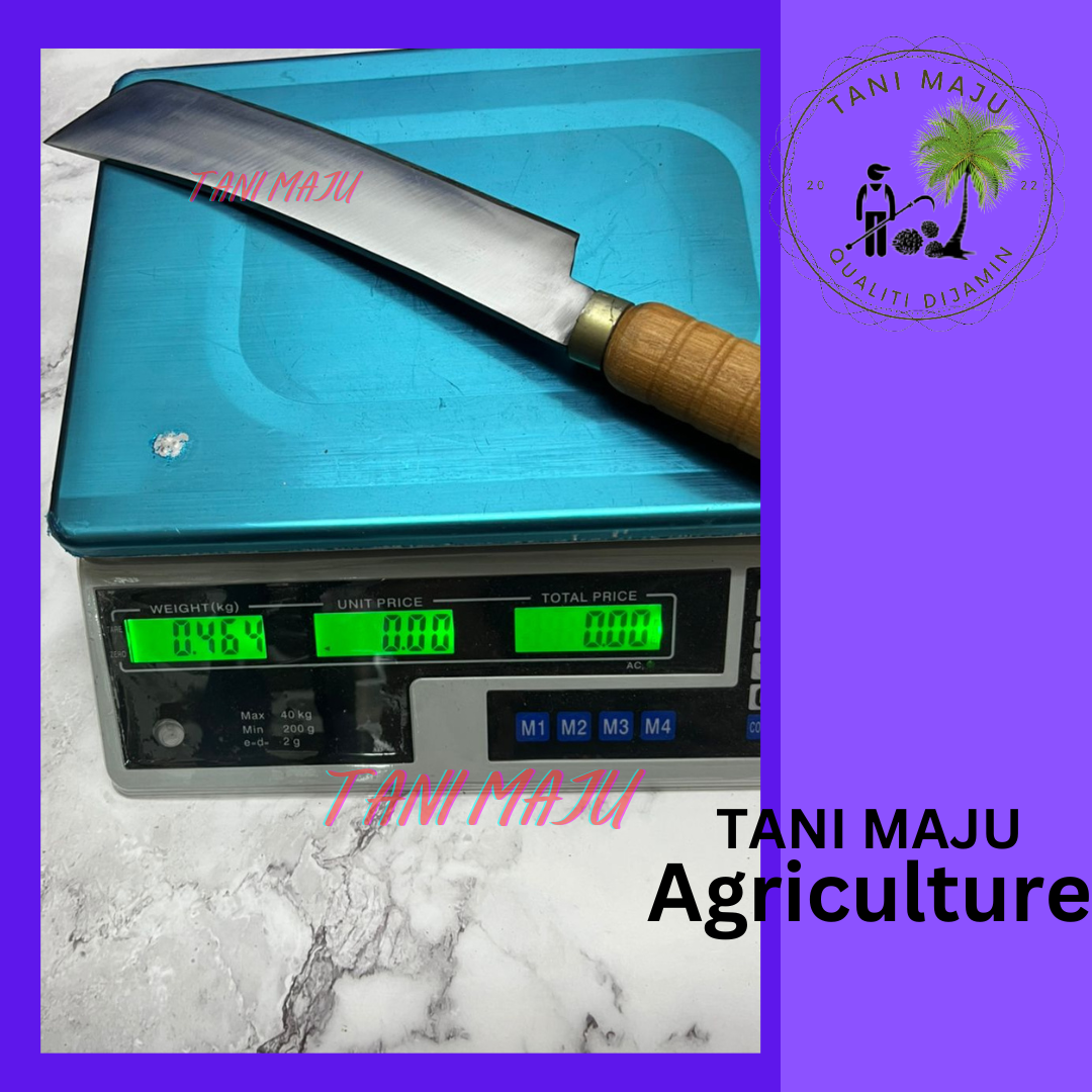Pisau Dapur / Parang Tulang (ALL IN 1) (125.9)