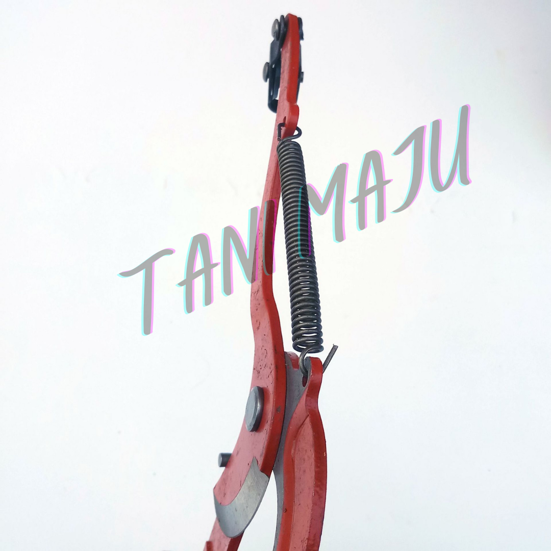 Gunting Pisau Buah-buahan (Model 180)