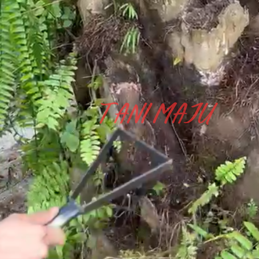 Model 093.5 / cakar kulit pokok buah-buahan / pokok kulih pisau / pisau menoreh getah
