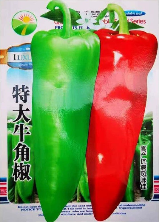 Chili Hijau (MODEL 176.14D)