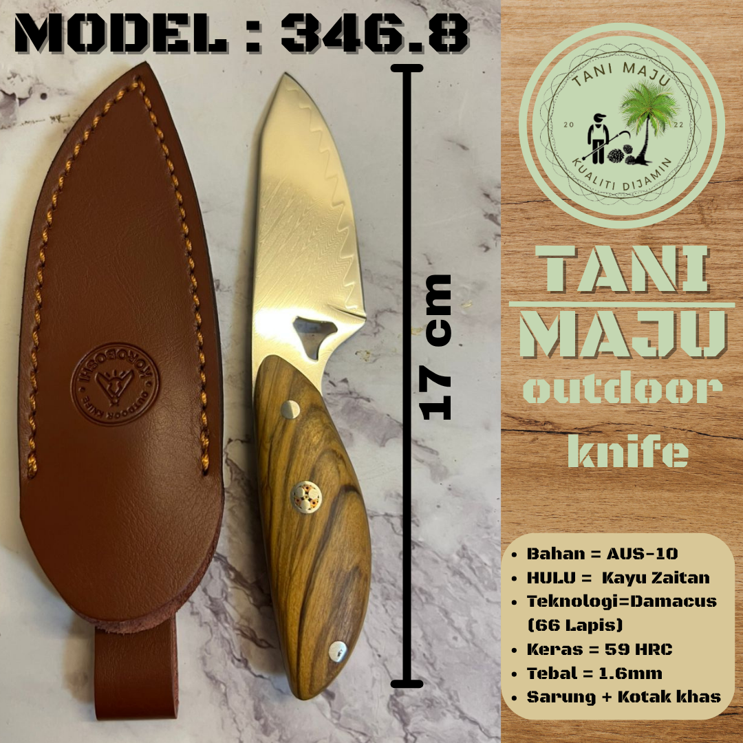 Pisau Damascus Serbaguna | 67 Lapisan Forge Camping Knife | Pisau Buah, Sayur & Daging