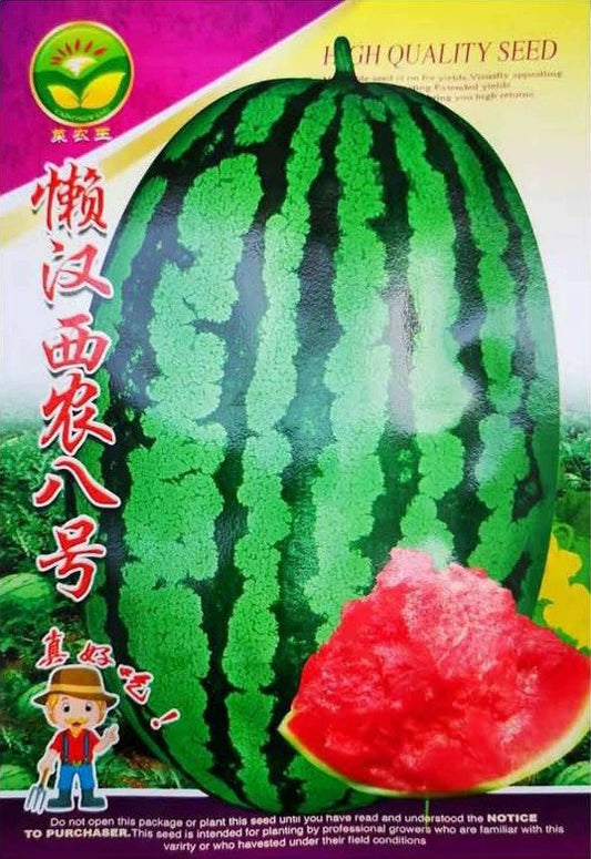 Watermelon / 西瓜 (model 176.19E)