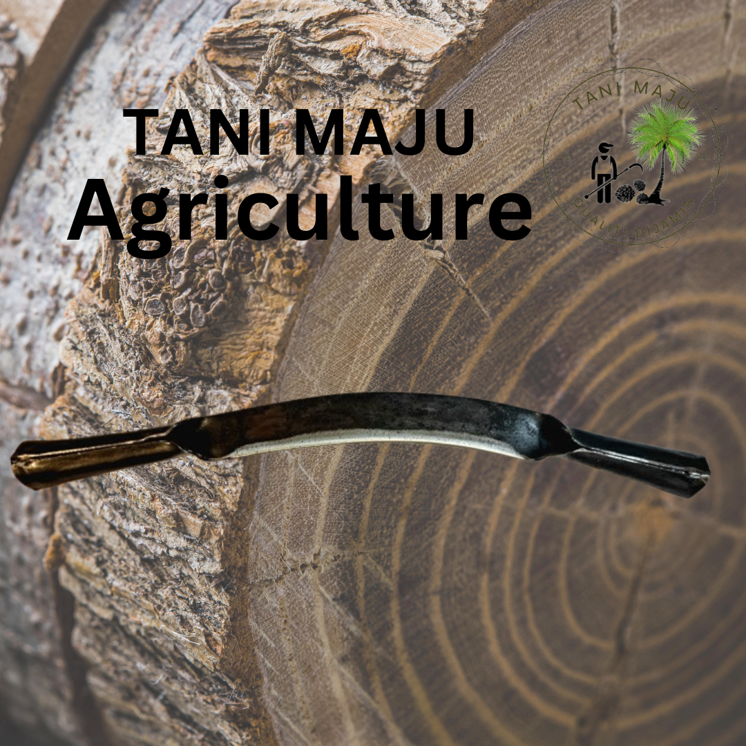 Model 354.1 / Pisau Kulit Kayu Bengkok | Bark Scraper Knife | Alat Kupas Kulit Kayu