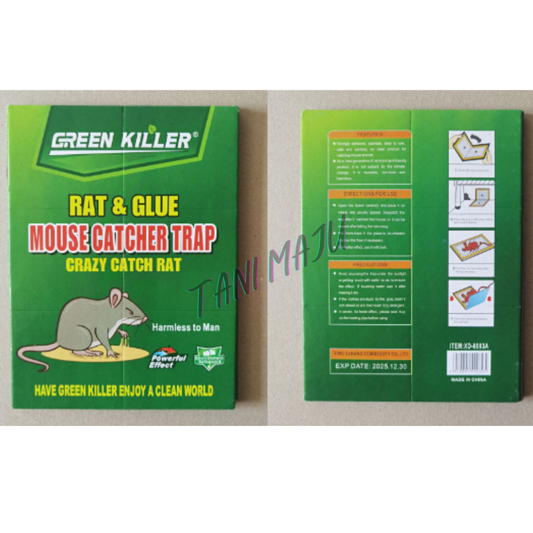 Super Mouse Glue Trap +FREE UBAT UMPAN (Model 234)