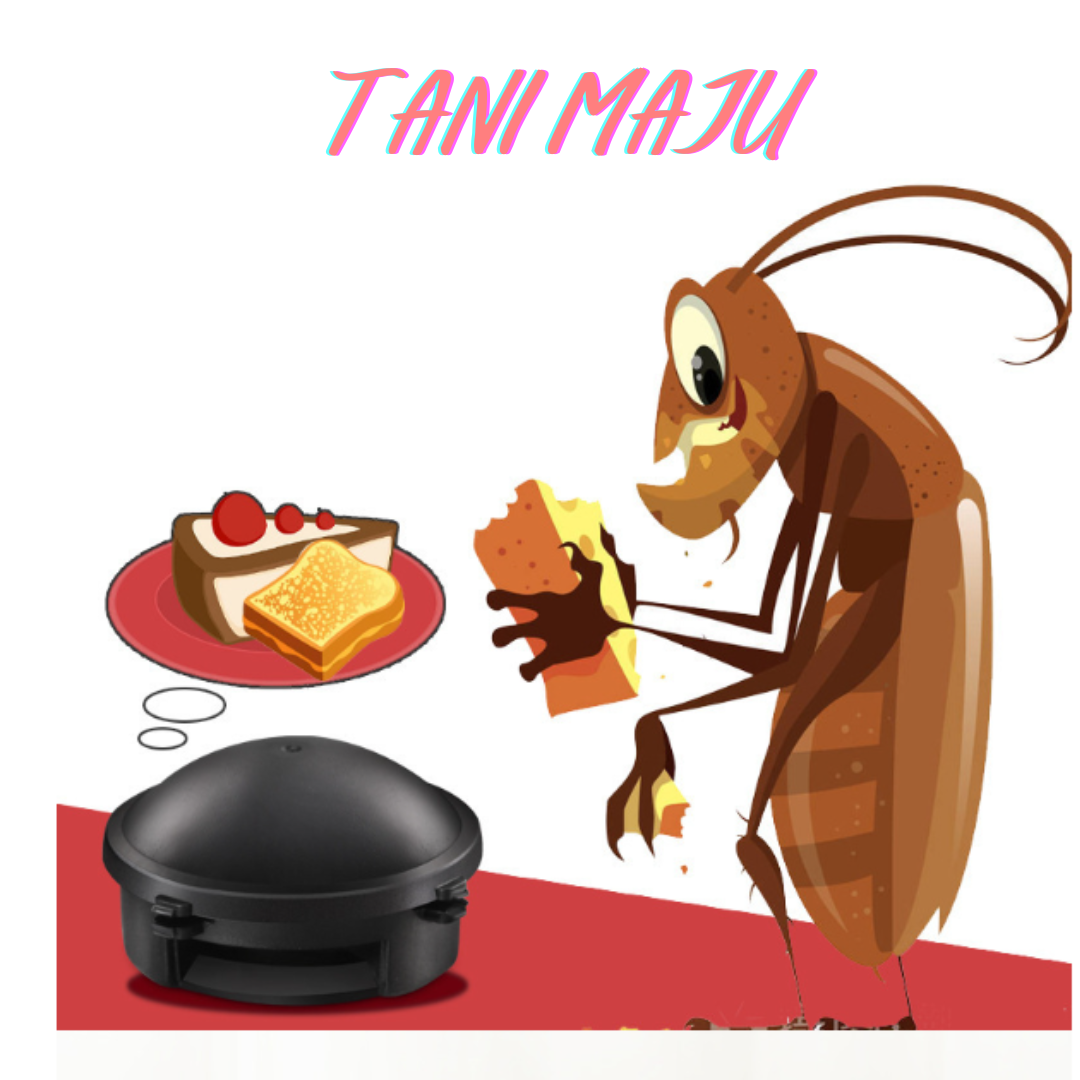 【Japan Imported】 12pcs/Box Cockroach Catch Room Black Box Trap Killer Non-toxic Safe/ Japanese Kill Cockroach / (Model 259)