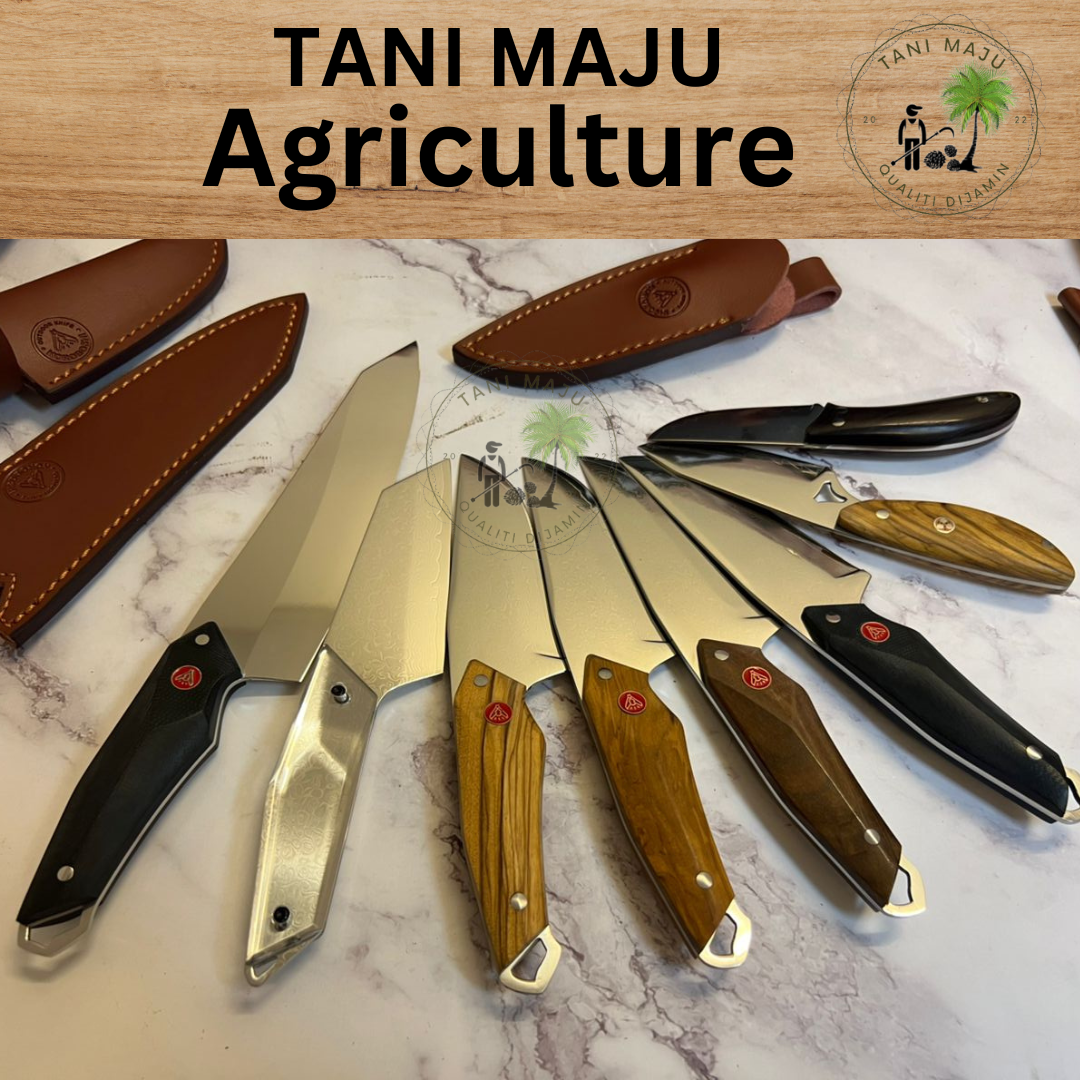 Pisau Damascus Serbaguna | 67 Lapisan Forge Camping Knife | Pisau Buah, Sayur & Daging