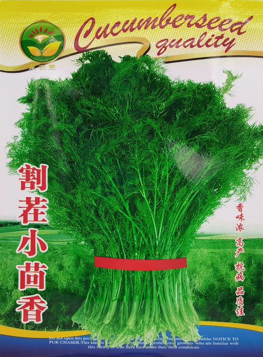 Dill /小茴香 (model 176.23F)