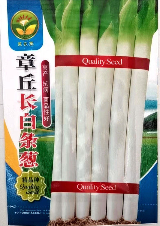 Daun Bawang / 大葱 (model 176.24F)