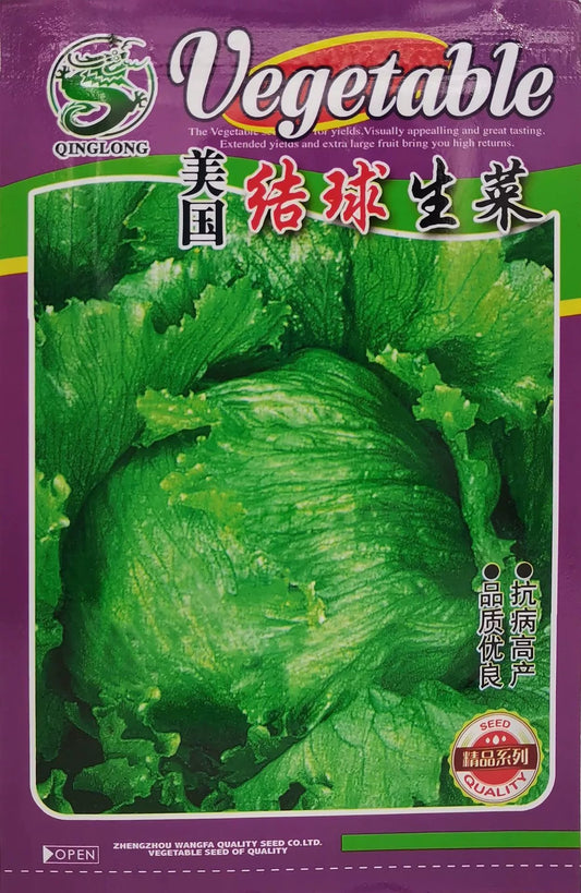 Lettuce Bulat (model 176.25G)