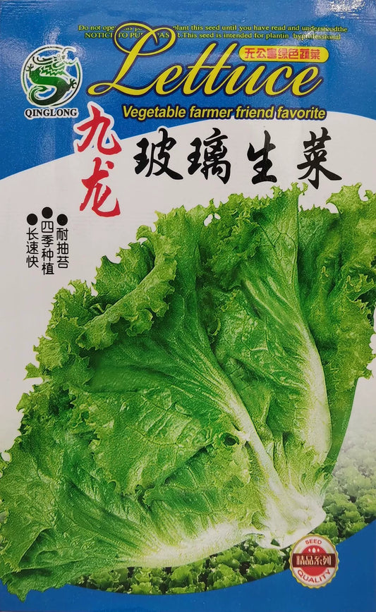 Lettuce Panjang (model 176.26G)