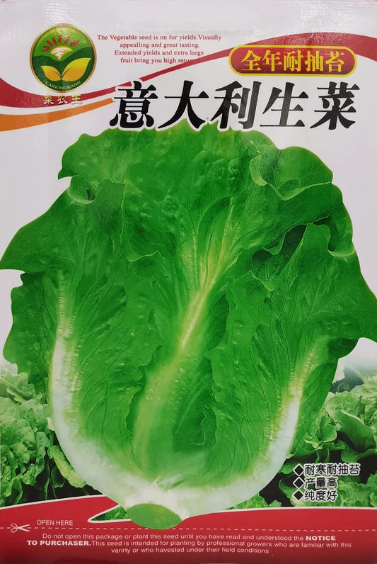 Lettuce Italy (model 176.28G)