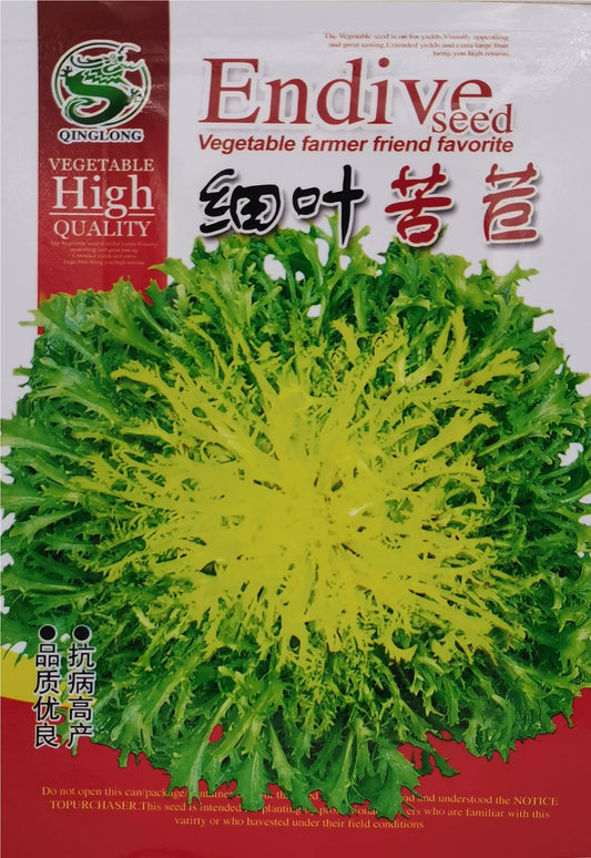 Chicory / 细叶苦苣 (model 176.29G)