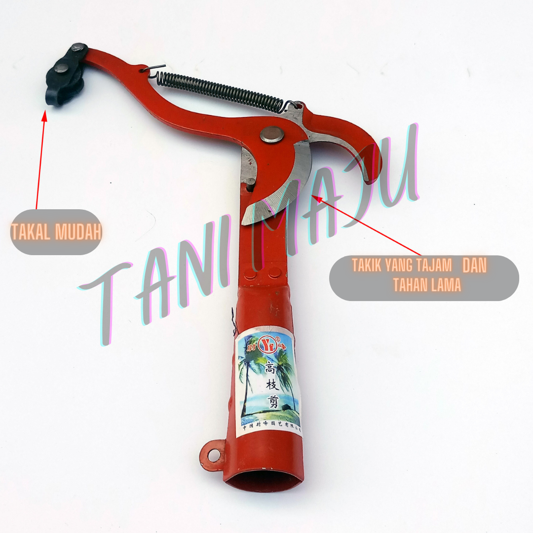 Gunting Pisau Buah-buahan (Model 180)