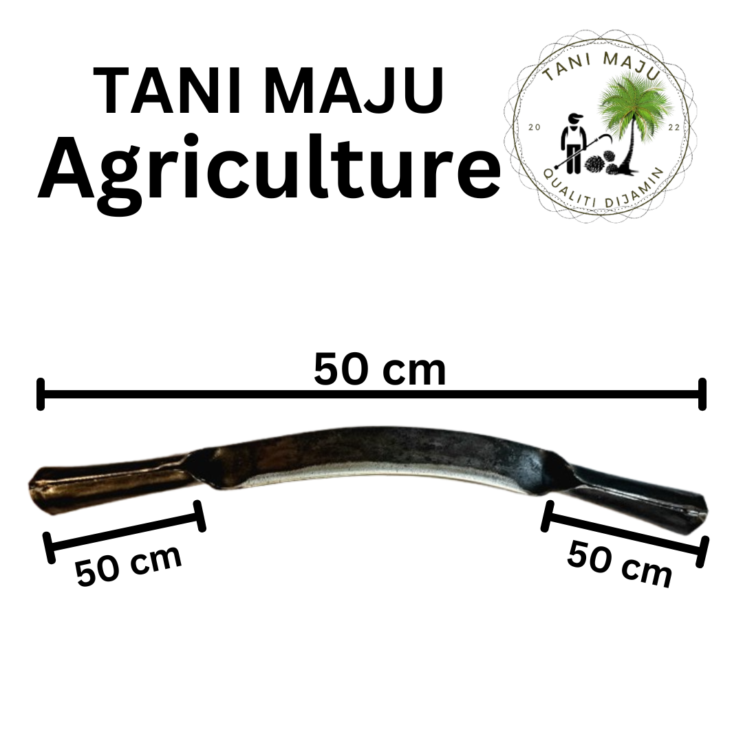 Model 354.1 / Pisau Kulit Kayu Bengkok | Bark Scraper Knife | Alat Kupas Kulit Kayu