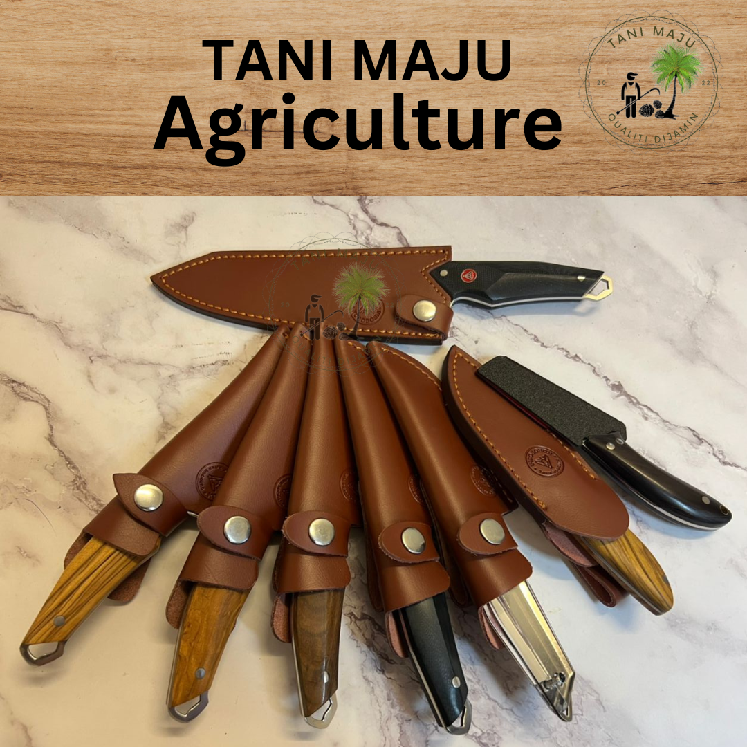 Pisau Damascus Serbaguna | 67 Lapisan Forge Camping Knife | Pisau Buah, Sayur & Daging