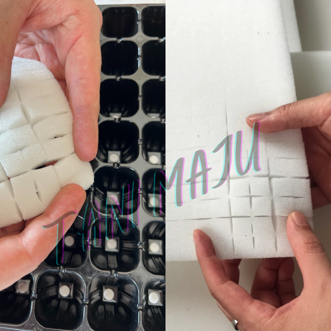Hydroponic Germination Sponge 100 Cubes with holes for Seedling Aquaponic Semai Benih Hidroponik Span Percambahan  (Model 172)