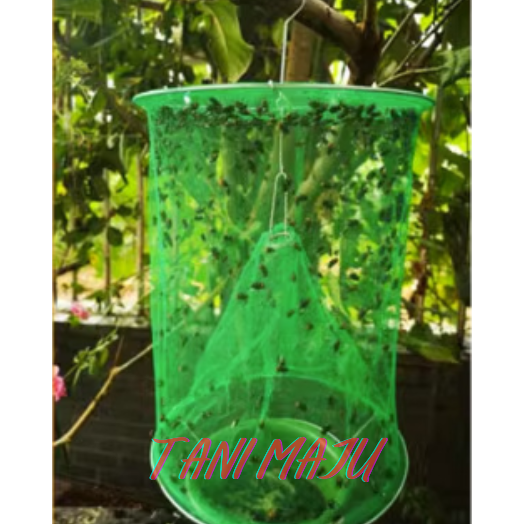 Perangkap Lalat Fly Trap Umpan Lalat Berkesan Ubat Lalat / Perangkap Lalat Fruit Fly Trap Ubat Attractant Feromone (Model 250-251)