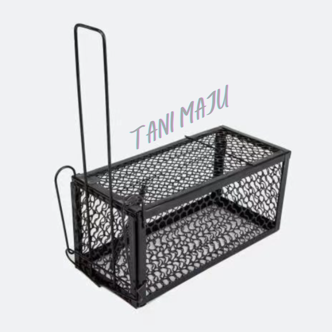 Rat Mouse Trap Cage Metal / Rumah Perangkap Tikus Besi (MELIPAT) (Model 237)