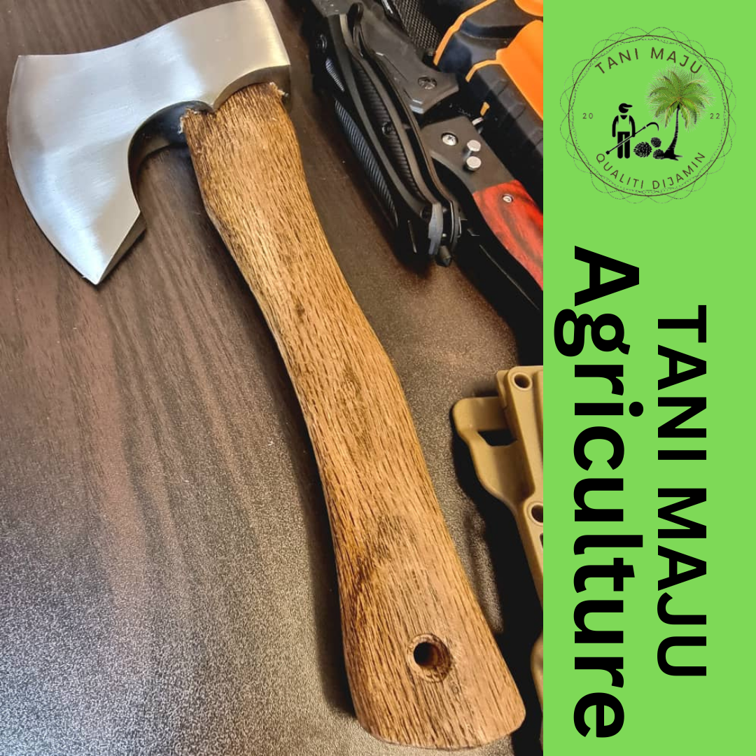 (Model 279.1 )Kapak Putih + Hulu Kayu