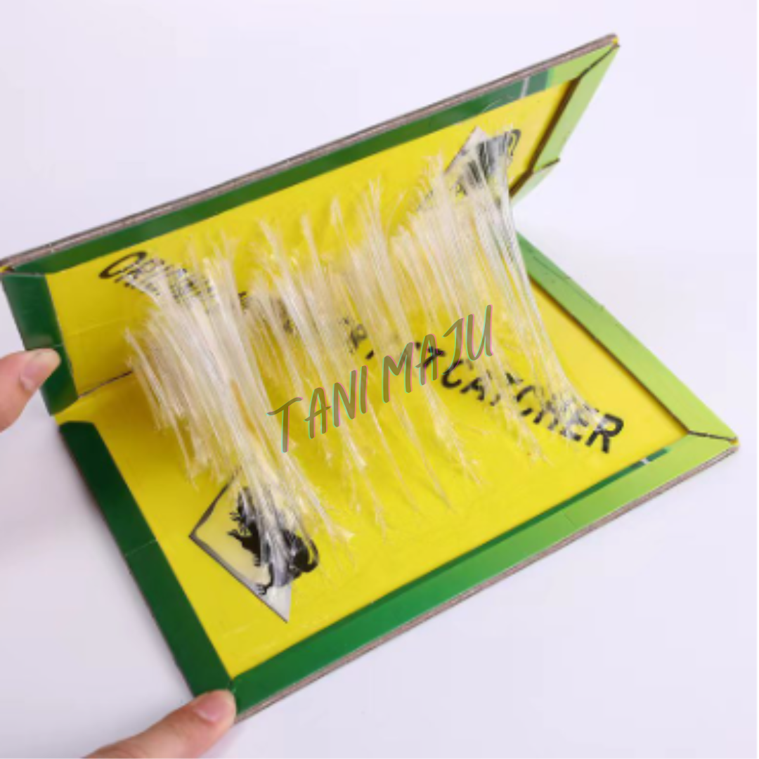 Super Mouse Glue Trap +FREE UBAT UMPAN (Model 234)