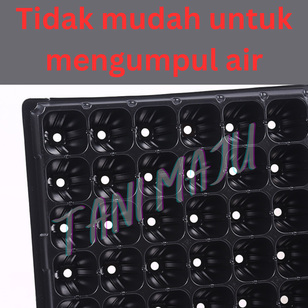 Holes Seedling Tray Plastic Nursery Tray / 50 HOLES / 105HOLES / Bekas Benih Plastic Tray Benih Semaian / 育苗盘 育苗 / (Model 173)