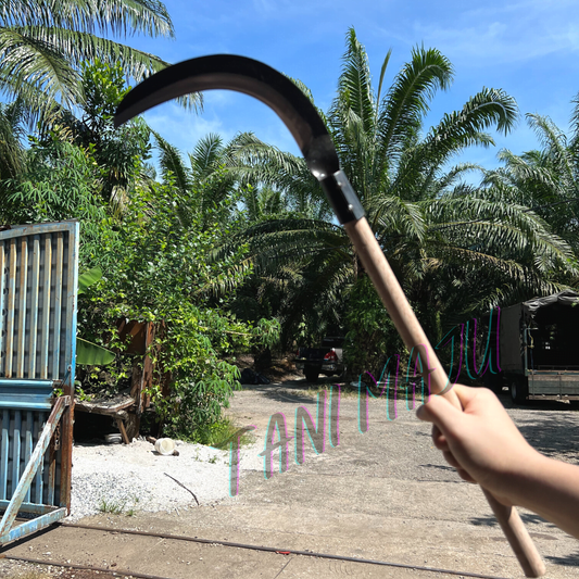 Sabit Rumput Paip Kayu ( Model 093)