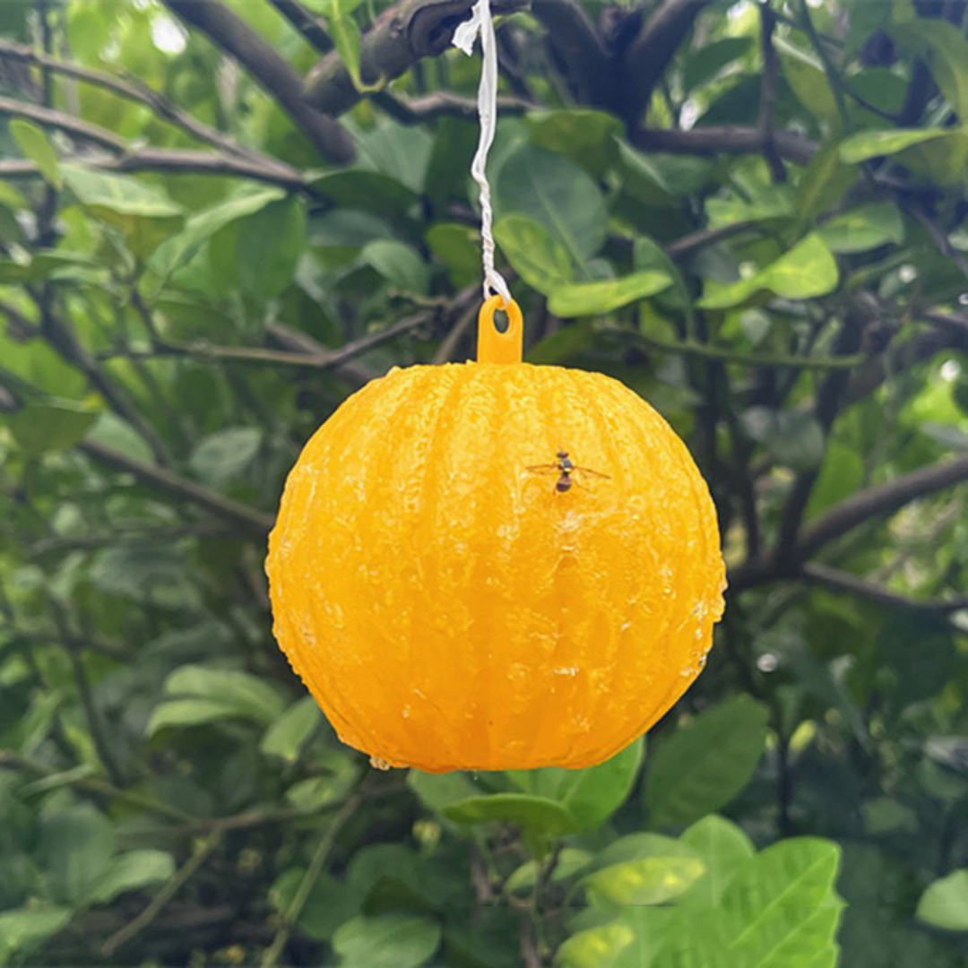 Perangkap Lalat Buah Pelekat Serangga (Model 167.4)