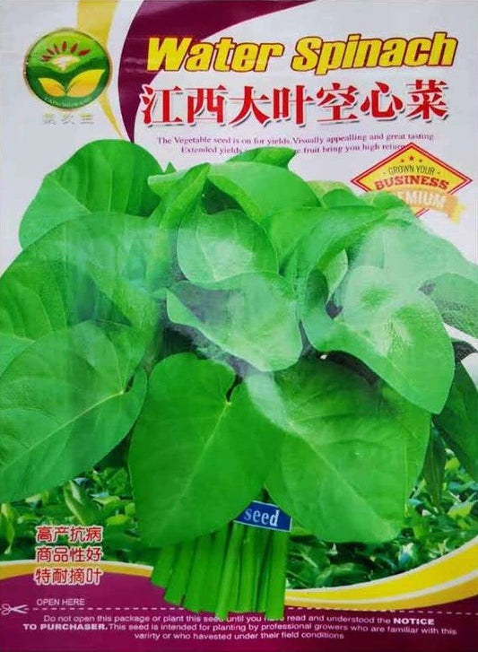 Kangkung Bulat (model 176.33H)