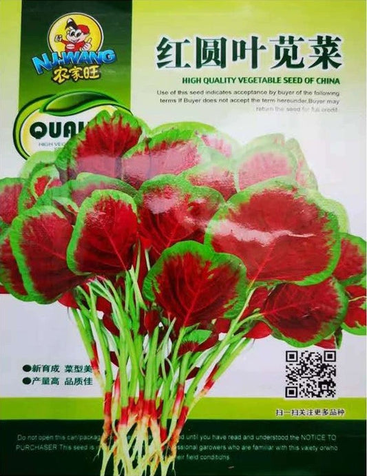 Bayam Merah (model 176.35H)