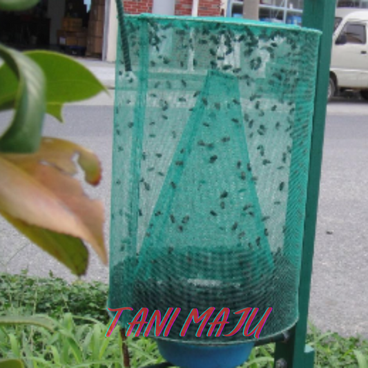 Perangkap Lalat Fly Trap Umpan Lalat Berkesan Ubat Lalat / Perangkap Lalat Fruit Fly Trap Ubat Attractant Feromone (Model 250-251)