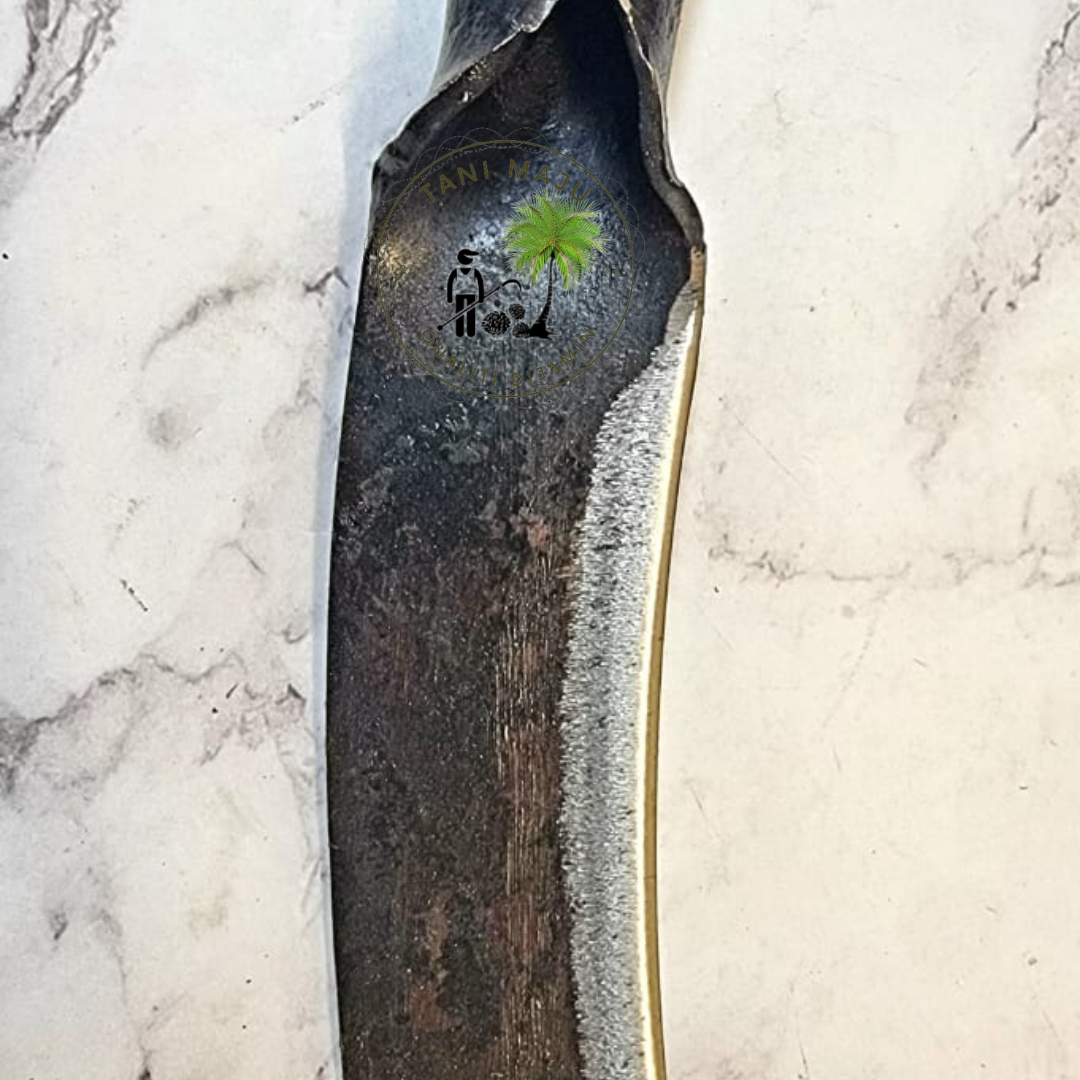 Model 354.1 / Pisau Kulit Kayu Bengkok | Bark Scraper Knife | Alat Kupas Kulit Kayu