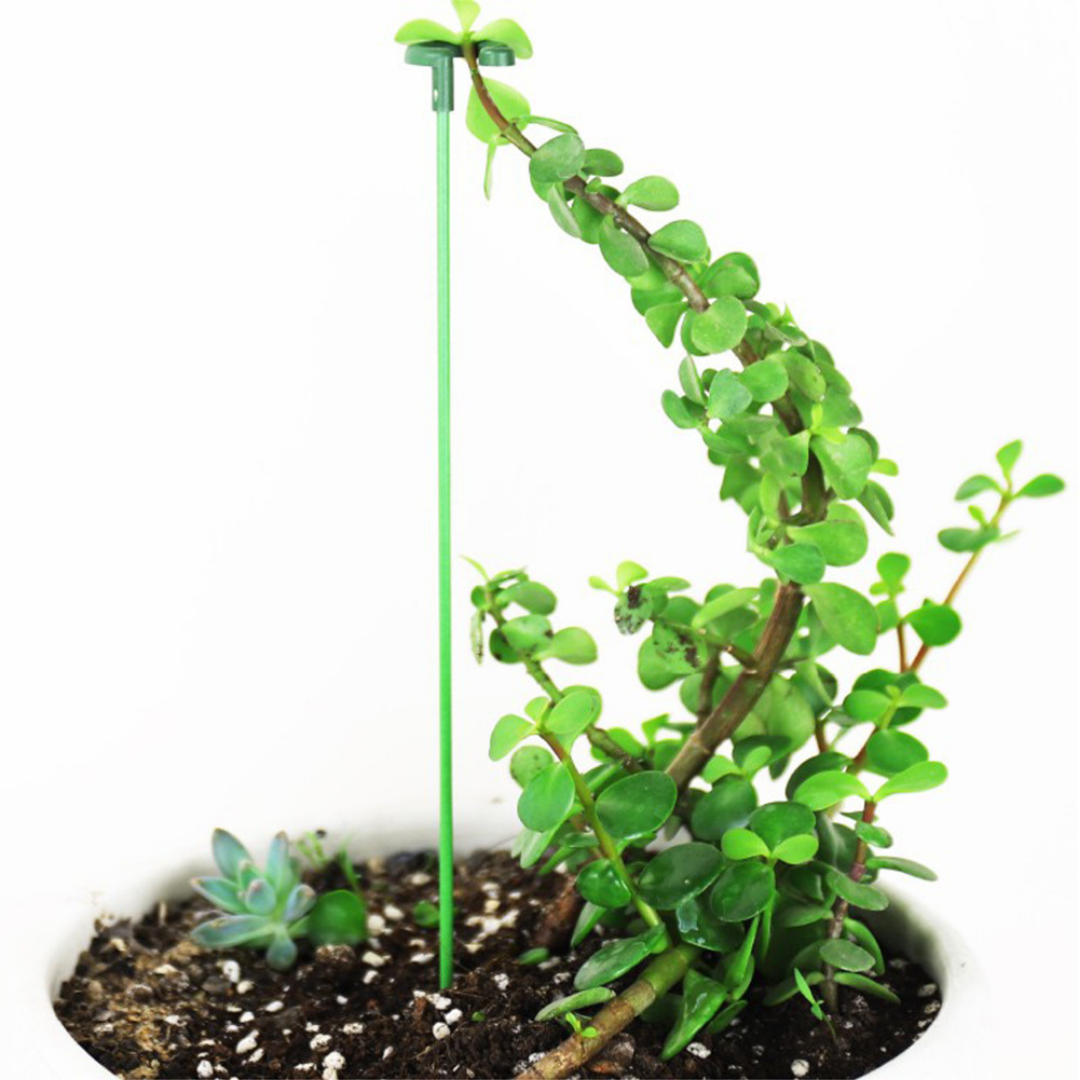 Flower Plant Metal Support Stand Bonsai Stake Backyard  /Garden Tool  Support Ring Climbing Plant Stick Pole (Model 167)
