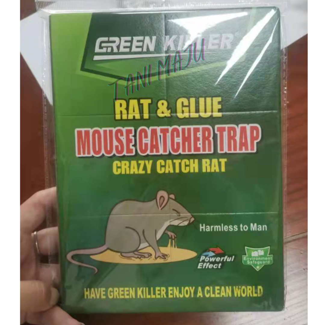 Super Mouse Glue Trap +FREE UBAT UMPAN (Model 234)