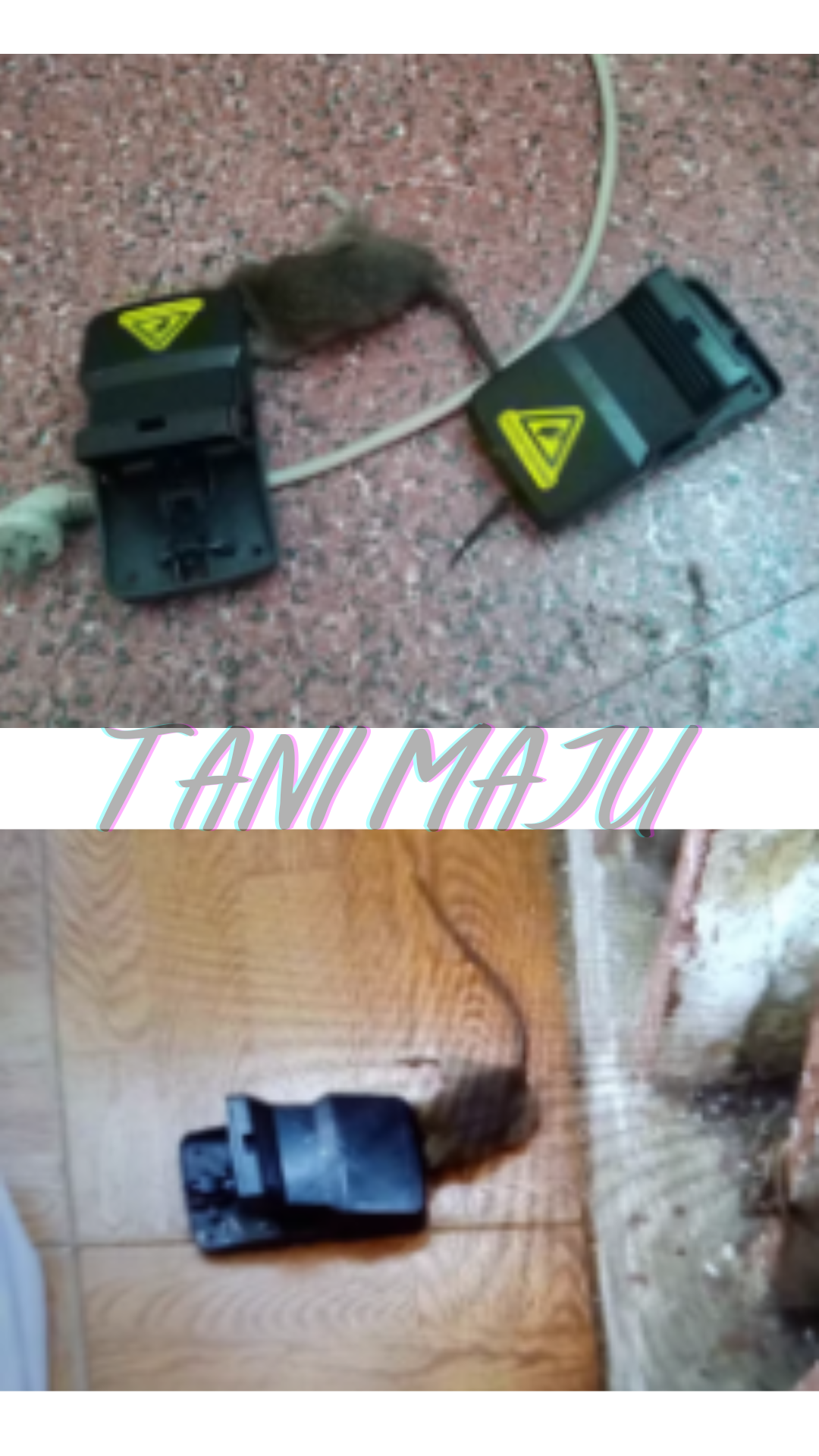 Reusable mouse trap / Perangkap tikus (Model 233)